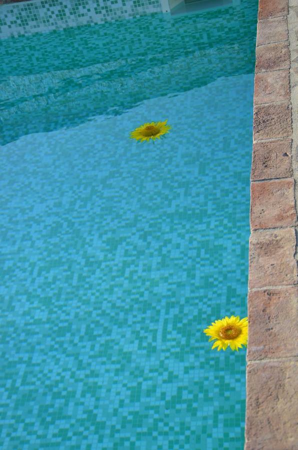 Agriturismo Il Feudo Guest House Grosseto Luaran gambar